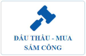 Đấu thầu mua sắm công.png